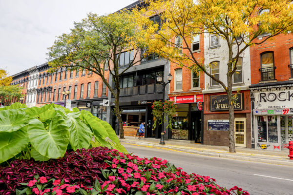 Image of King St. East looking Northwest from Walnut St. with flowers in the foreground